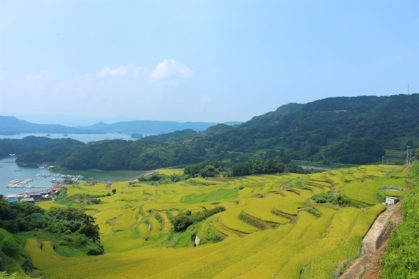 佐賀県で即日現金化が可能な業者を徹底調査！