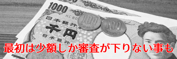 初めは少額しか審査が下りない可能性がある